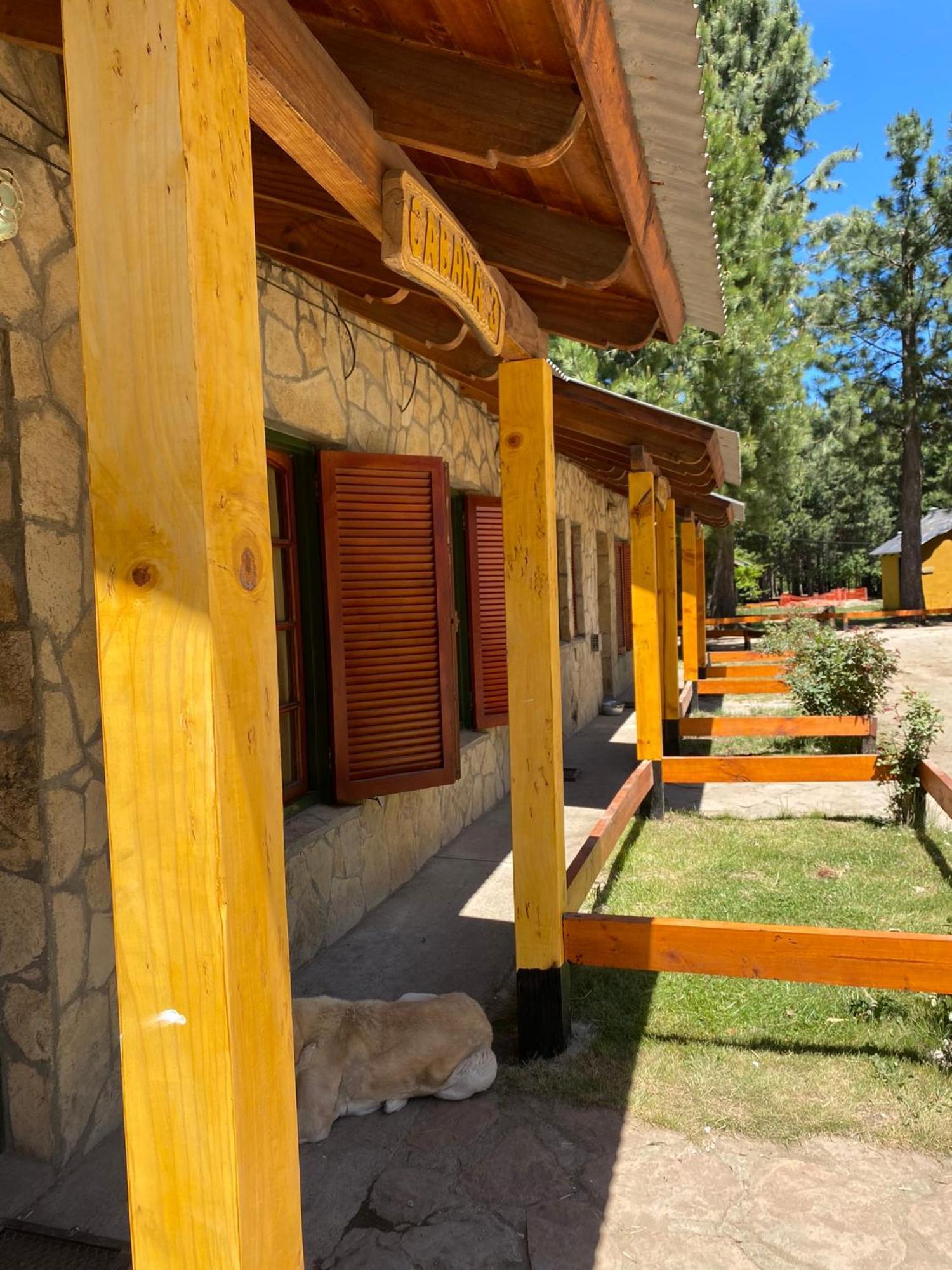 Vila Complejo Don Cirilo Villa Pehuenia Exteriér fotografie